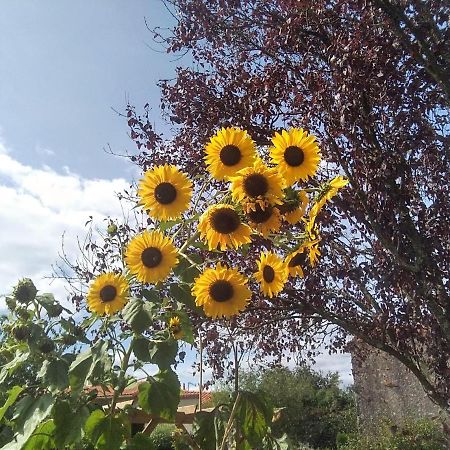 Bed and Breakfast Les Tournesols La Bernardiere Exterior foto