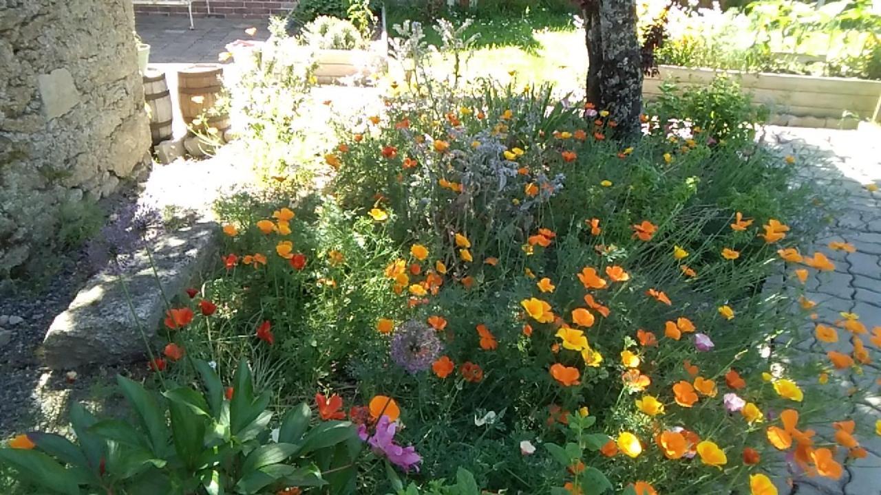 Bed and Breakfast Les Tournesols La Bernardiere Exterior foto